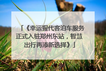 《幸运猩代客泊车服务正式入驻郑州东站，智慧出行再添新选择》