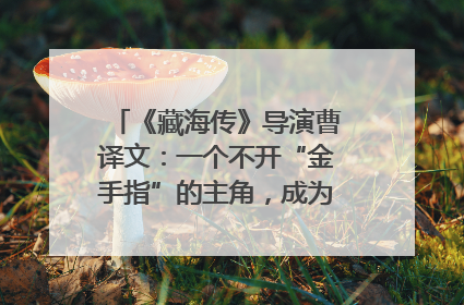 《藏海传》导演曹译文：一个不开“金手指”的主角，成为苍生守护者