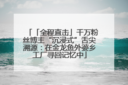 「全程直击」千万粉丝博主“沉浸式”舌尖溯源：在金龙鱼外婆乡工厂寻回记忆中