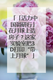 「活力中国调研行」在月球上造房子？这家实验室把3D打印“带上月球”