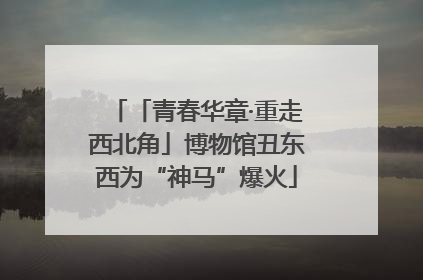 「青春华章·重走西北角」博物馆丑东西为“神马”爆火