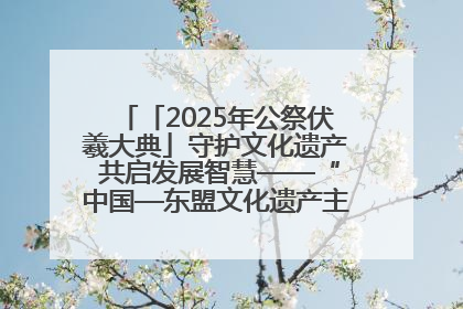 「2025年公祭伏羲大典」守护文化遗产 共启发展智慧——“中国—东盟文化遗产主题对话”侧记