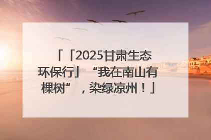 「2025甘肃生态环保行」“我在南山有棵树”，染绿凉州！
