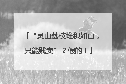 “灵山荔枝堆积如山，只能贱卖”？假的！