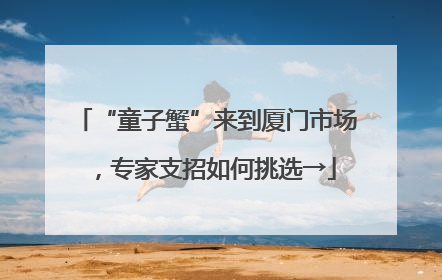 “童子蟹”来到厦门市场，专家支招如何挑选→