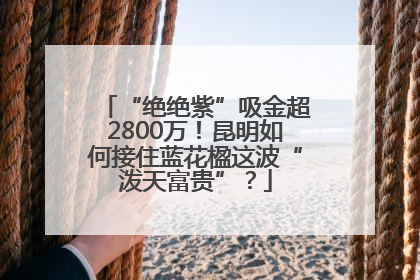“绝绝紫”吸金超2800万！昆明如何接住蓝花楹这波“泼天富贵”？