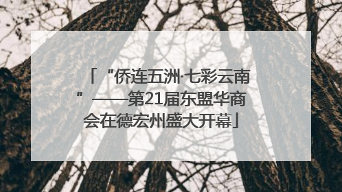 “侨连五洲·七彩云南”——第21届东盟华商会在德宏州盛大开幕