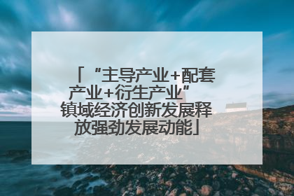 “主导产业+配套产业+衍生产业” 镇域经济创新发展释放强劲发展动能
