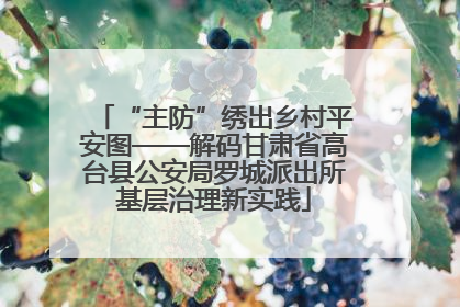 “主防”绣出乡村平安图——解码甘肃省高台县公安局罗城派出所基层治理新实践