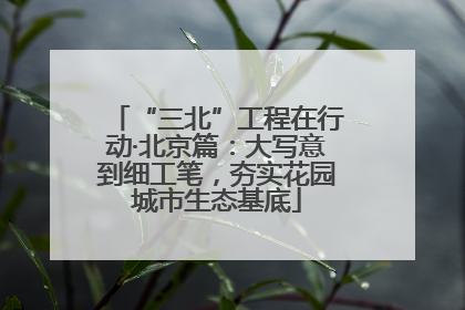 “三北”工程在行动·北京篇：大写意到细工笔，夯实花园城市生态基底