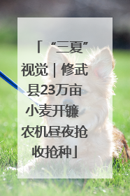 “三夏”视觉｜修武县23万亩小麦开镰 农机昼夜抢收抢种