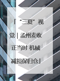 “三夏”视觉｜孟州麦收正当时 机械减损保归仓