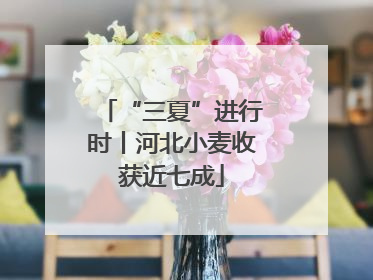 “三夏”进行时丨河北小麦收获近七成