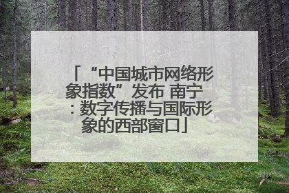 “中国城市网络形象指数”发布 南宁：数字传播与国际形象的西部窗口