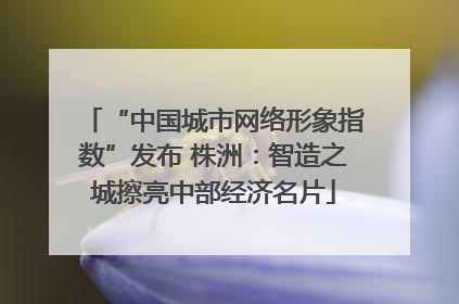 “中国城市网络形象指数”发布 株洲：智造之城擦亮中部经济名片