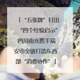 “五张牌”打出“四个经验启示” 四川南充携手瑞安市全链打造东西部“消费协作”