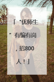 “优师生”有编有岗，招800人！