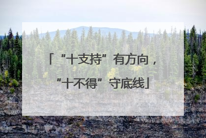 “十支持”有方向，“十不得”守底线