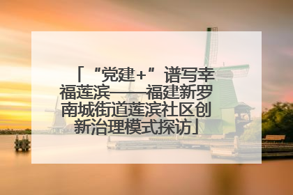 “党建+”谱写幸福莲滨——福建新罗南城街道莲滨社区创新治理模式探访