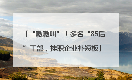 “嗷嗷叫”！多名“85后”干部，挂职企业补短板
