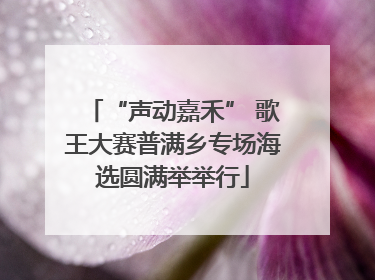“声动嘉禾” 歌王大赛普满乡专场海选圆满举举行