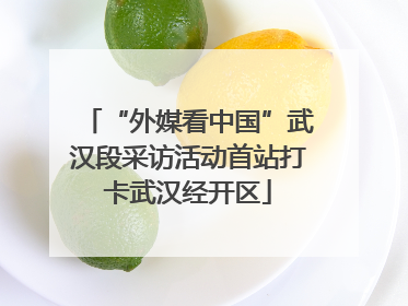 “外媒看中国”武汉段采访活动首站打卡武汉经开区