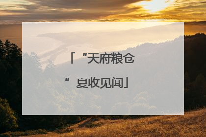 “天府粮仓”夏收见闻