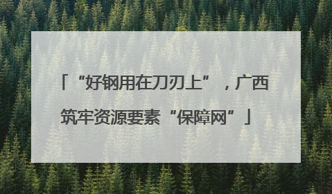 “好钢用在刀刃上”，广西筑牢资源要素“保障网”