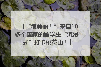 “很美丽！”来自10多个国家的留学生“沉浸式”打卡桃花山！