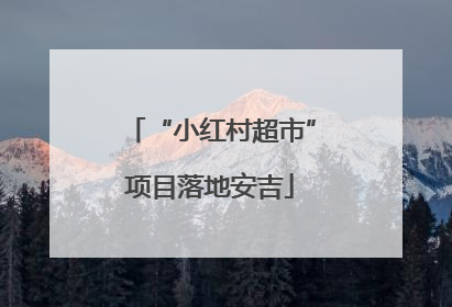 “小红村超市”项目落地安吉
