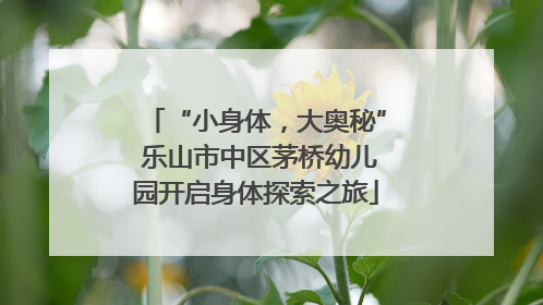 “小身体，大奥秘” 乐山市中区茅桥幼儿园开启身体探索之旅