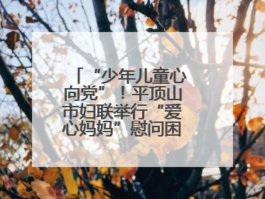 “少年儿童心向党”！平顶山市妇联举行“爱心妈妈”慰问困境儿童活动