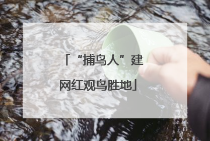 “捕鸟人”建网红观鸟胜地