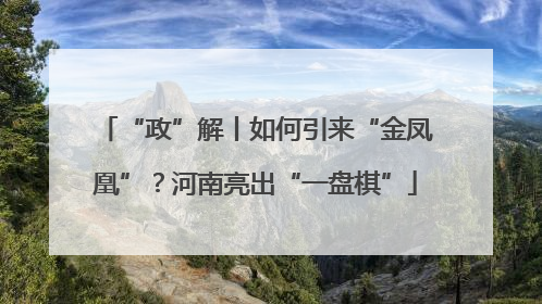 “政”解丨如何引来“金凤凰”？河南亮出“一盘棋”