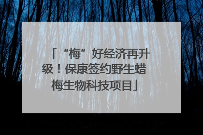 “梅”好经济再升级！保康签约野生蜡梅生物科技项目
