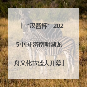 “汉酱杯”2025中国·济南明湖龙舟文化节盛大开幕