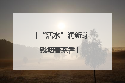 “活水”润新芽 钱塘春茶香