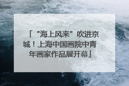 “海上风来”吹进京城！上海中国画院中青年画家作品展开幕