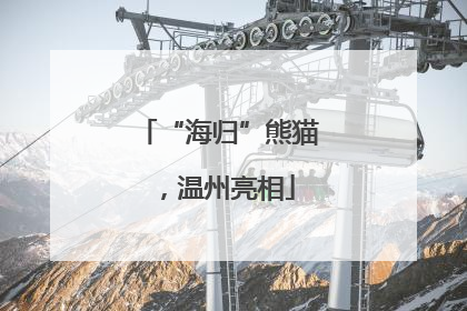 “海归”熊猫，温州亮相