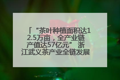 “茶叶种植面积达12.5万亩，全产业链产值达57亿元” 浙江武义茶产业全链发展“加速度”