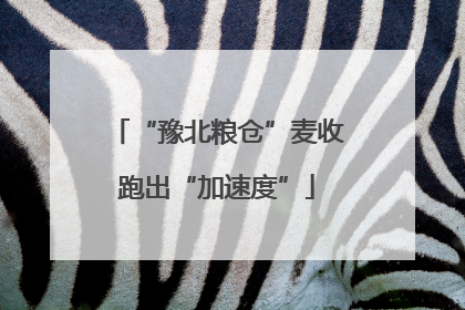 “豫北粮仓”麦收跑出“加速度”