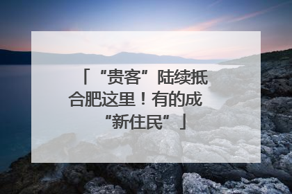 “贵客”陆续抵合肥这里！有的成“新住民”