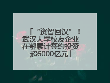 “资智回汉”！武汉大学校友企业在鄂累计签约投资超6000亿元
