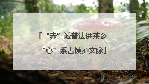 “赤”诚普法进茶乡 “心”系古镇护文脉