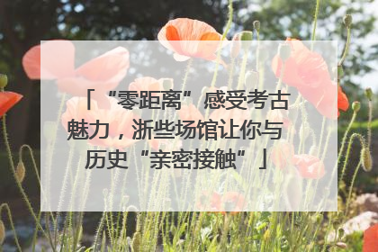 “零距离”感受考古魅力，浙些场馆让你与历史“亲密接触”