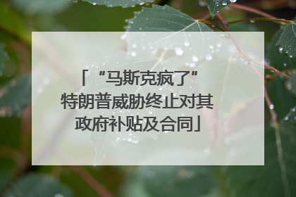 “马斯克疯了” 特朗普威胁终止对其政府补贴及合同