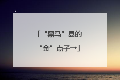 “黑马”县的“金”点子→