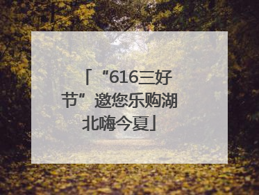 “616三好节”邀您乐购湖北嗨今夏