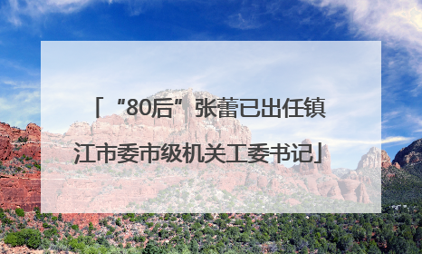 “80后”张蕾已出任镇江市委市级机关工委书记