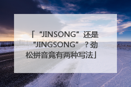 “JINSONG”还是“JINGSONG”？劲松拼音竟有两种写法